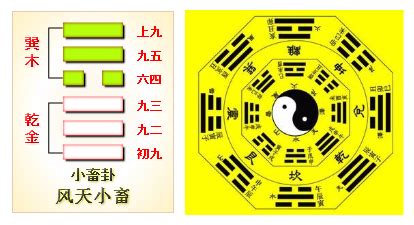 九卦|周易第9卦风天小畜卦详解